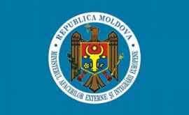 Молдова просит помощи международных организаций в случае молдавских пилотов