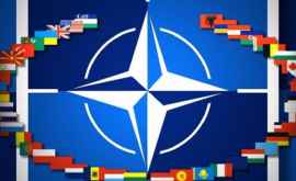 Большинство жителей Молдовы против вступления в НАТО опрос