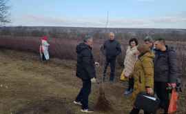 Mai multe plantații din Moldova verificate de experți ruși