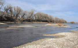 Экологи бьют тревогу уровень воды в реке Днестр снижается с каждым днем