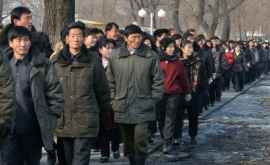 Aproape jumătate din populația Coreei de Nord suferă de foame