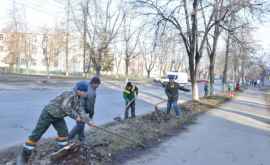 În Chișinău a început curăţenia generală de primăvară 