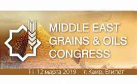 Международный Конгресс Middle East GrainsOil Congress в Каире