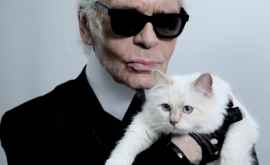 Pisica regretatului designer Karl Lagerfeld lansează o colecţie de haine