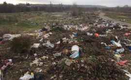 Primărița din Budești cere ajutor pentru a scăpa de gunoiul din preajma localității