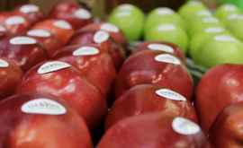Производители фруктов обращаются к властям за содействием 