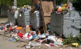 Amenzi mărite de trei ori pentru cei care aruncă gunoi în locurile interzise