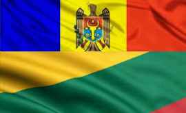 Литва поделится с Молдовой опытом борьбы с коррупцией