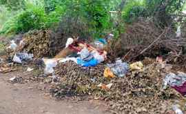 Chișinăuenii chemați să curețe de gunoaie parcurile