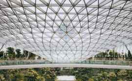 Аэропорт Сингапура превратили в райский сад ВИДЕО