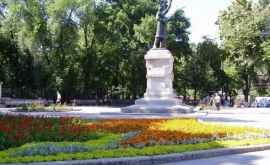 Кишинёвцы просят власти спасти городской парк Штефана Великого 