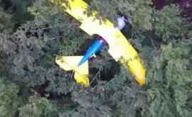 Un pilot american a ajuns cu avionul în copac