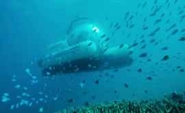 Un minisubmarin îi va plimba pe doritori în Marea Barieră de Corali