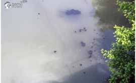 Уровень воды в реках Днестр и Бык повысился а вода очень грязная ФОТО