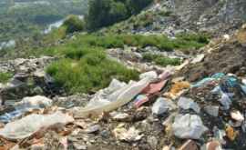 Запах горящих отходов отравляет жизнь жителей Чимишлийского района