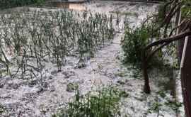 Дождь с градом в Бессарабке десятки поврежденных дорог и затопленных хозяйств ВИДЕО
