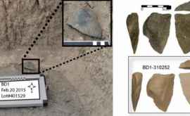 В Эфиопии найдены древнейшие режущие инструменты