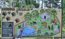 Proiect de peste 7 milioane de lei pentru Grădina Zoologică din Chișinău
