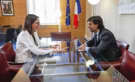 Глава МИД Молдовы провел во Франции брифинг с дипломатами из стран G7