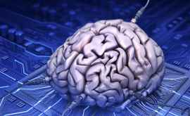 Как удалось ученым соединить три человеческих мозга в один 