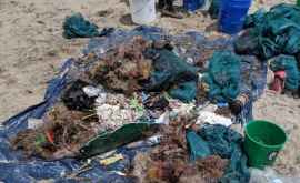 Peste 600 de scafandri au curățat apele oceanului de gunoi