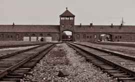 Голландская компания выплатит компенсации семьям жертв Холокоста