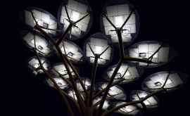 Cum luminează noaptea arborii solari instalați în capitală FOTO
