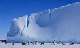 Antarctica va avea mai mulți turiști