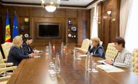 Председатель парламента встретилась с послом Австрии в Молдове