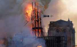 Работы по реконструкции собора Парижской Богоматери откладываются В чем причина