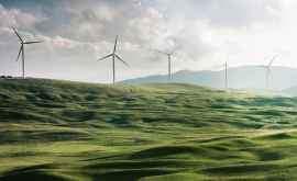 Независимые от углеводородов 10 стран которые уже перешли на зеленую энергию