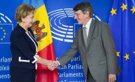 Greceanîi Să formăm pe teritoriul Republicii Moldova un HUB economic