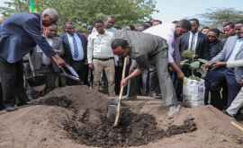 В Эфиопии за день посадили более 350 миллионов деревьев