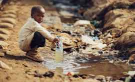 Studiu Aproape 25 din populația lumii suferă de deficit de apă potabilă