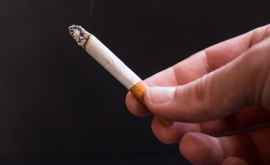 В Черногории запретили курение в публичных заведениях