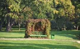 Parc din Chișinău amenajat după modelul grădinilor de la Versailles VIDEO
