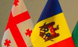 Georgia dispusă să realizeze proiecte investiționale comune cu Moldova 