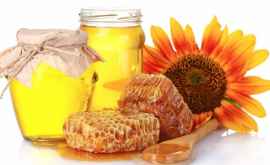 7 способов отличить натуральный мед от подделки