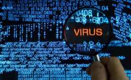 În Franța a fost neutralizat un virus care a infectat aproape un milion de calculatoare