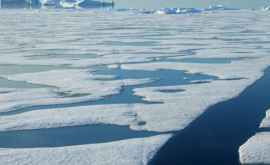 În Arctica au apărut cinci insule noi