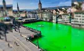 В Швейцарии река стала яркозеленой