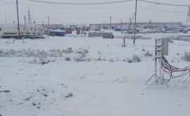 В Красноярском крае выпал снег и началась метель