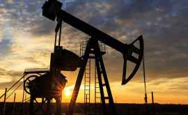 США обошли Саудовскую Аравию и РФ по экспорту нефти