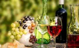 Vinul moldovenesc e tot mai apreciată în lumea largă