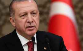 Эрдоган обозначил сроки начала возможной операции Турции в Сирии