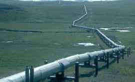 Испанская компания заинтересованно в строительстве газопровода УнгеныКишинев