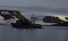 O navă militată rusă scufundată de o biată morsă