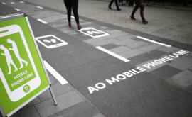 Выделенные дорожки для пешеходов которые гуляют уставившись в смартфон