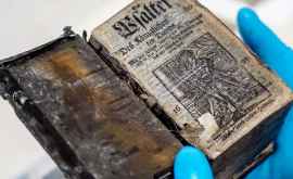 Полностью сохранившуюся книгу нашли на затонувшем 300 лет назад судне