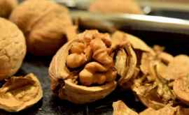 Риск развития рака и сердечных болезней снижают орехи